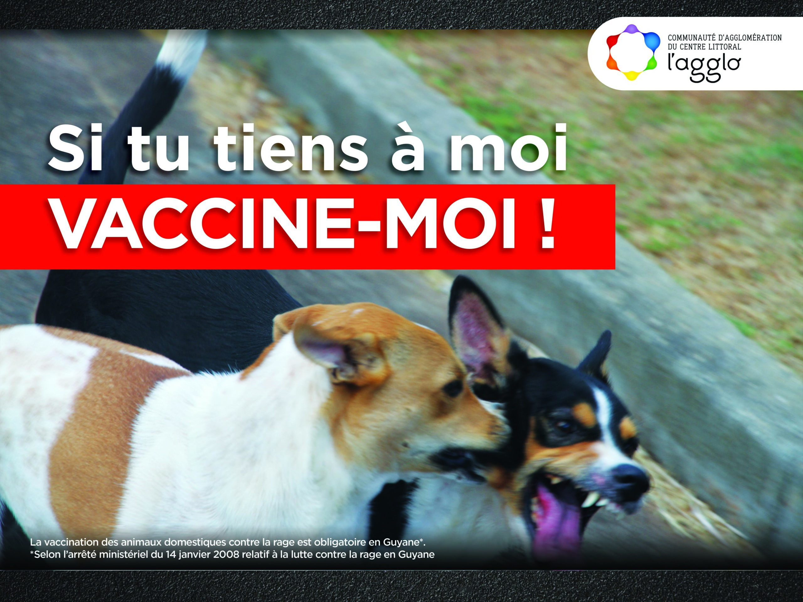 Fourrière animale, campagne 2020 de sensibilisation