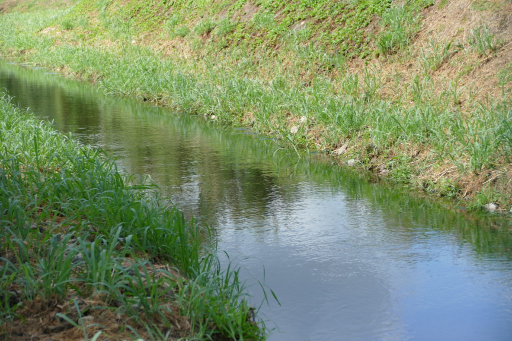 Une fois purifiée, l'eau peut être rejeté dans la nature Une fois purifiée, l'eau peut être rejeté dans la nature