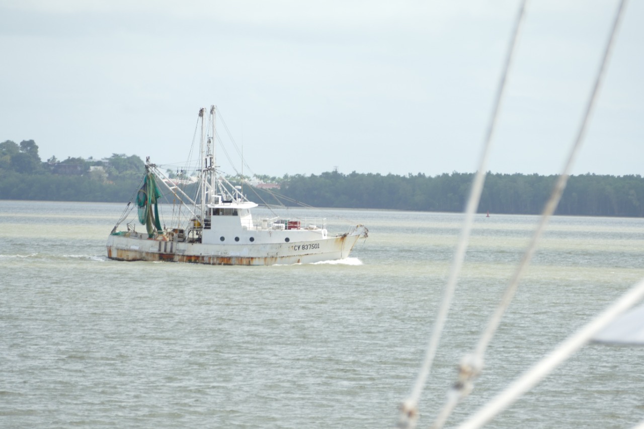 Points de débarquement de la pêche artisanale de l’Ile de Cayenne