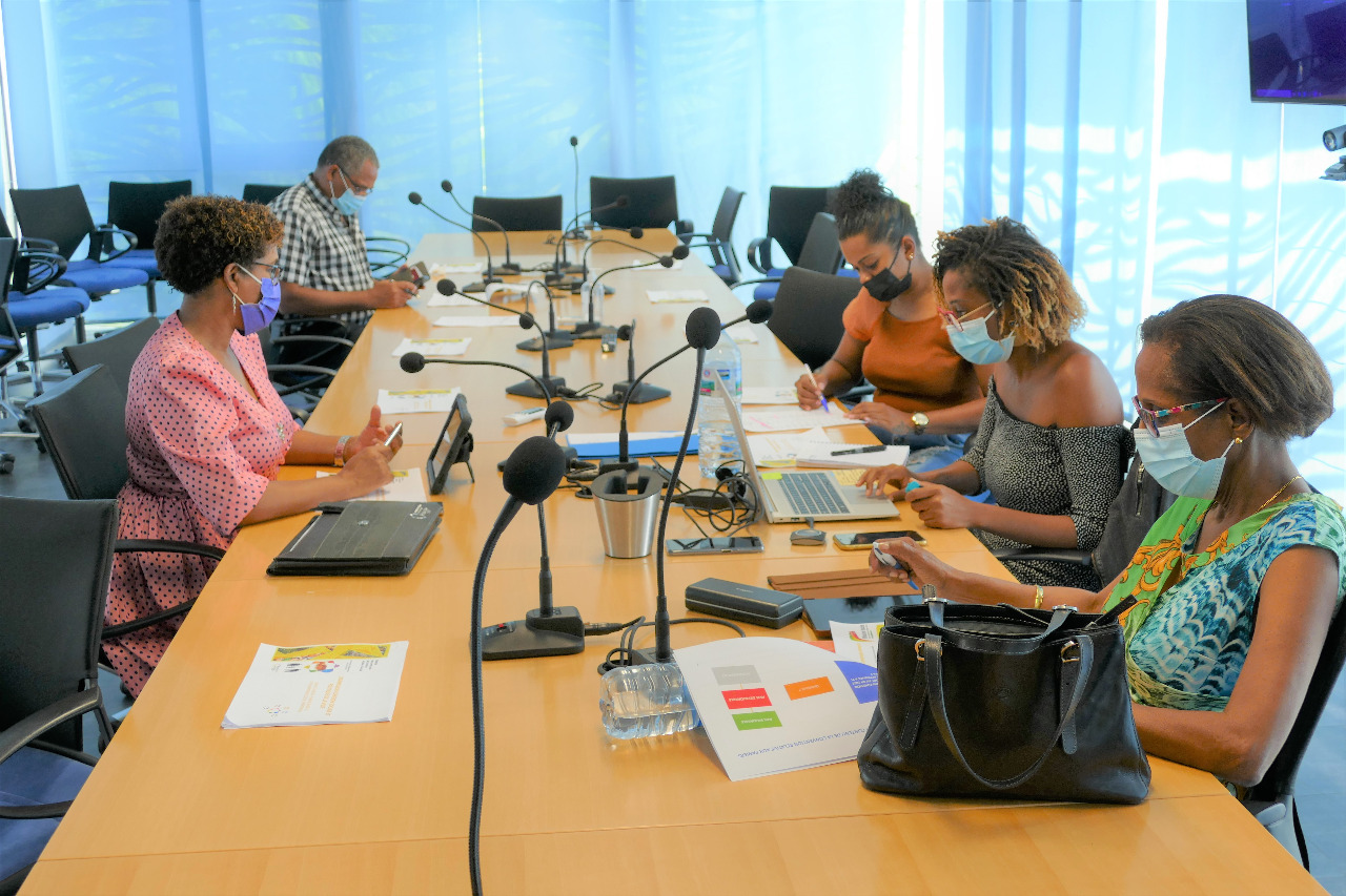 Commission Cohésion Sociale et Politique de la Ville du mercredi 1er décembre 2021