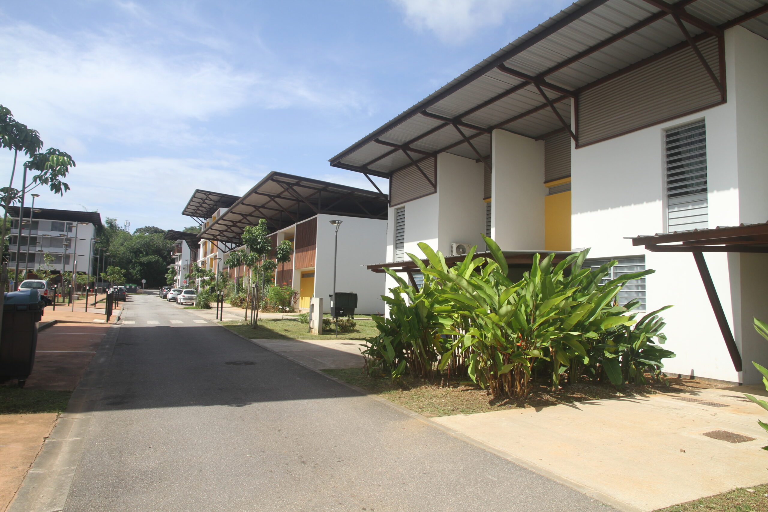 Habitat (YLT) Habitat (YLT)