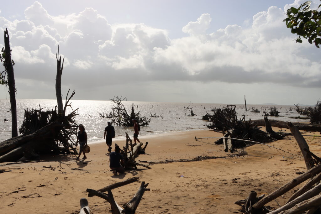 Promenade sur le sentier du Littoral